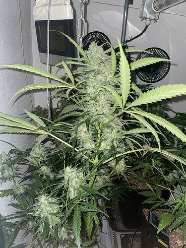 Growreport Bild 10