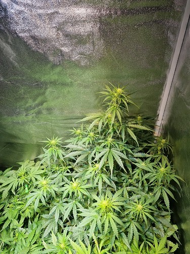 Growreport Bild 20