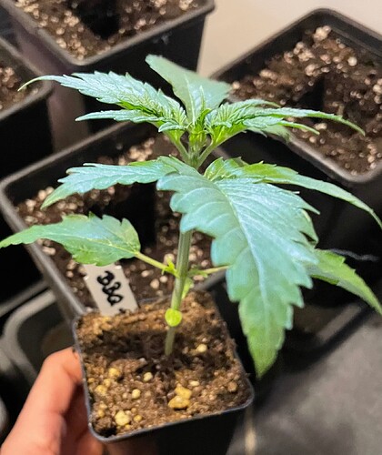 Growreport Bild 2