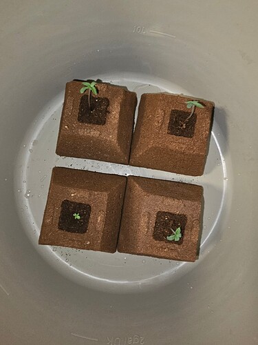 Growreport Bild 19