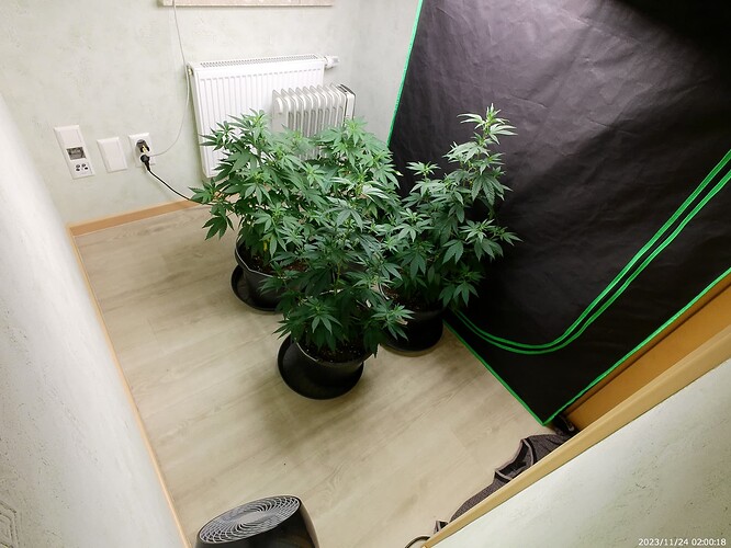 Growreport Bild 21