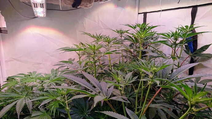 Growreport Bild 2
