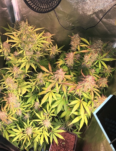 Growreport Bild 10