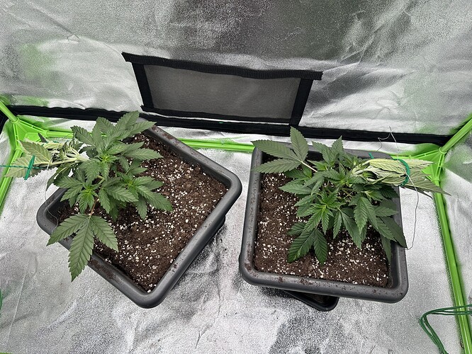 Growreport Bild 16