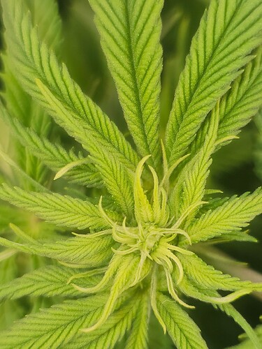Growreport Bild 9