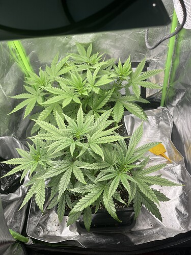 Growreport Bild 8
