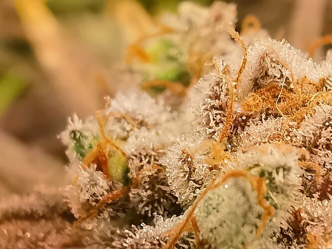 Growreport Bild 13