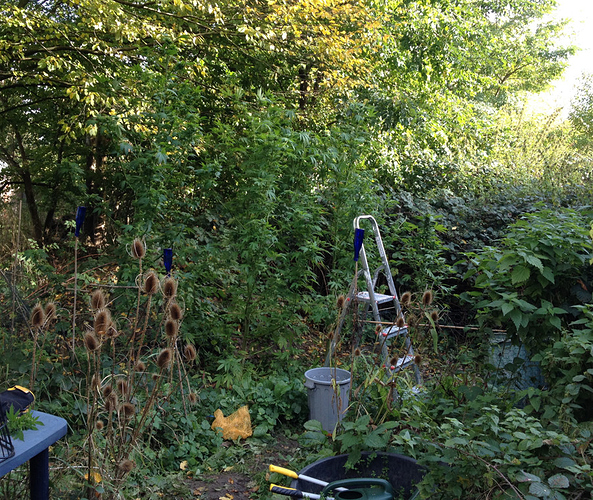 Growreport Bild 7