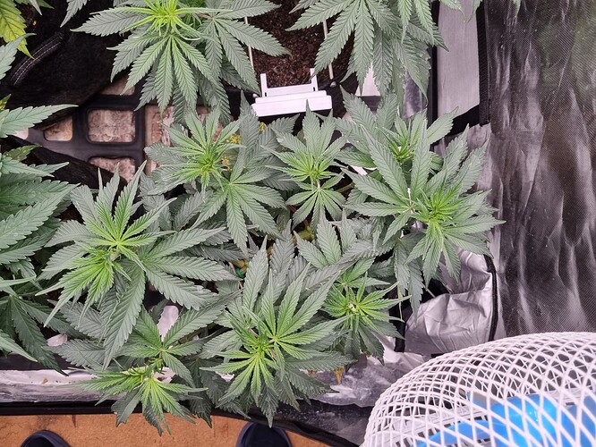 Growreport Bild 18
