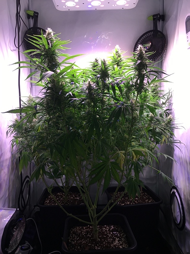 Growreport Bild 8