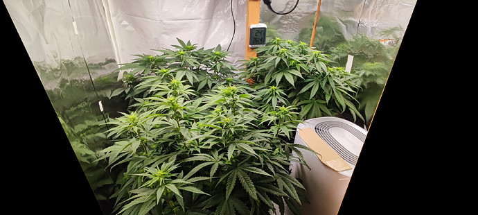 Growreport Bild 5