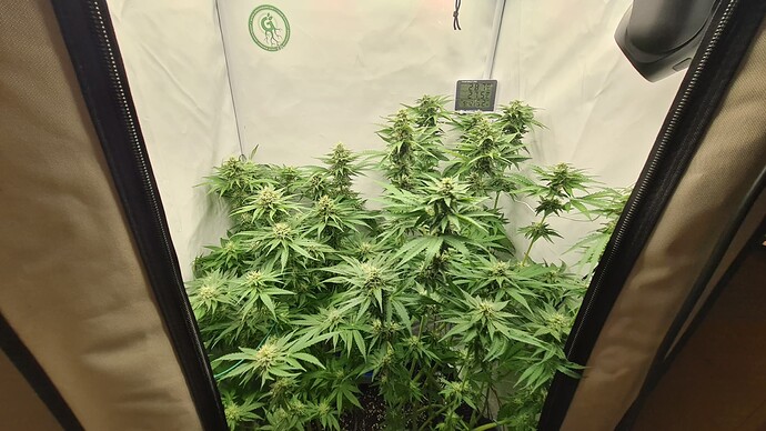 Growreport Bild 8