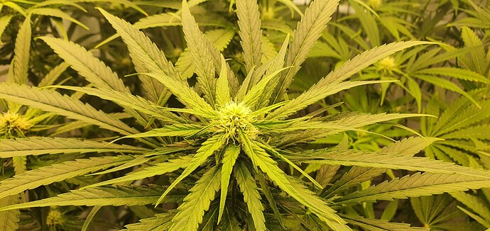 Growreport Bild 14