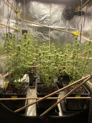 Growreport Bild 1