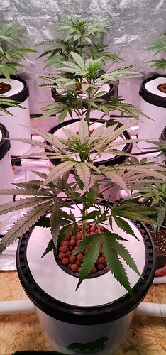 IMG_20220129_124406