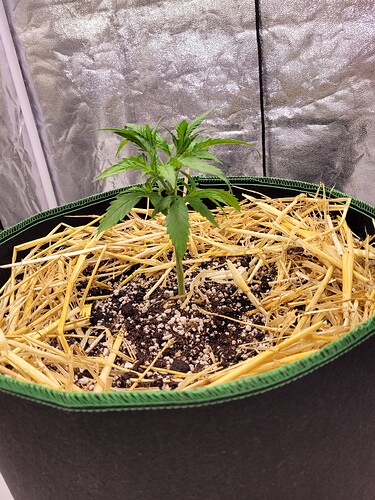 Growreport Bild 13