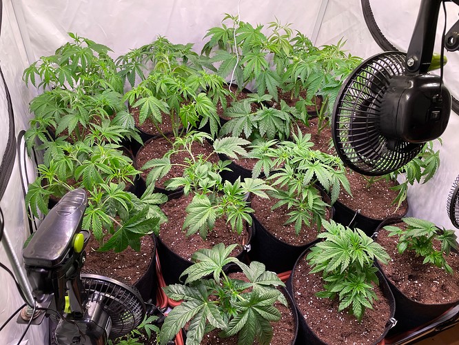 Growreport Bild 6
