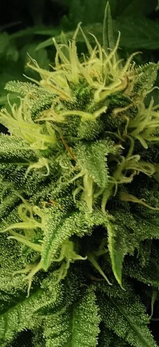 Growreport Bild 21