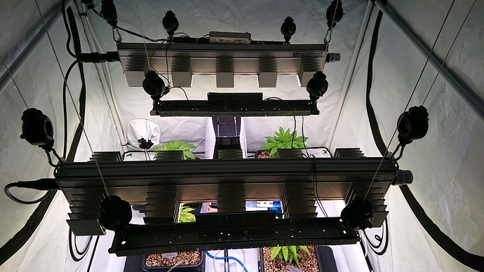 obscura1612810673651