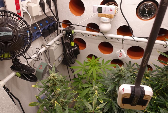 Growreport Bild 16