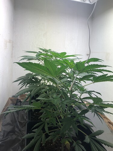 Growreport Bild 9