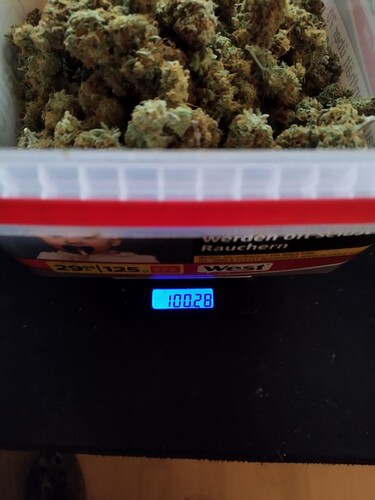 Growreport Bild 11