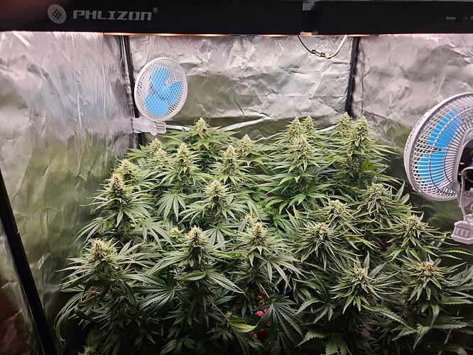 Growreport Bild 18