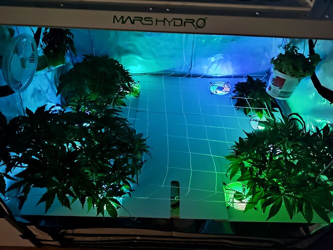 IMG_20240108_183213 - Kopie