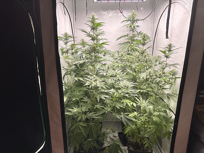 Growreport Bild 8