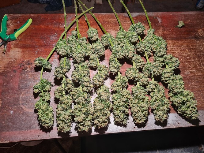 Growreport Bild 9