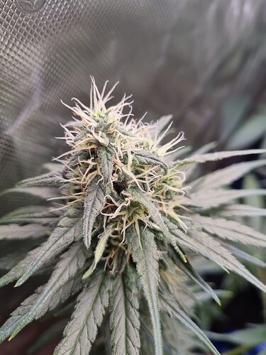 Growreport Bild 21