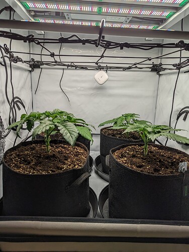 PXL_20231112_153603687