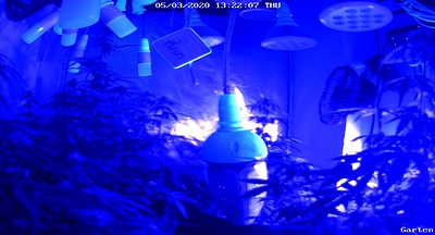 Growreport Bild 14