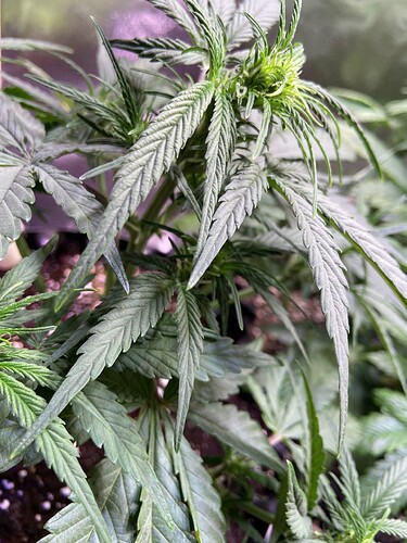 Growreport Bild 20