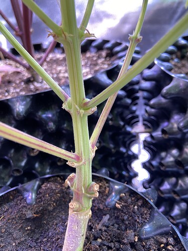 Growreport Bild 10