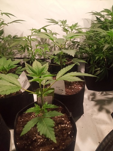 IMG_20210314_221556_480