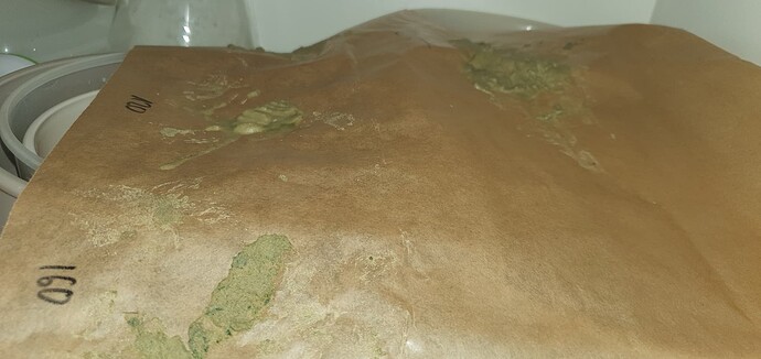 Growreport Bild 29