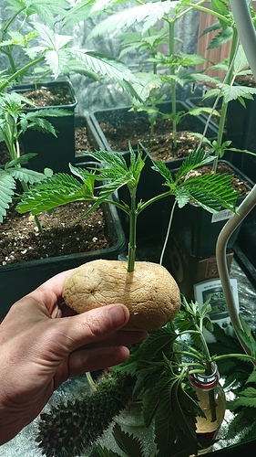 Growreport Bild 7