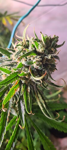Growreport Bild 19