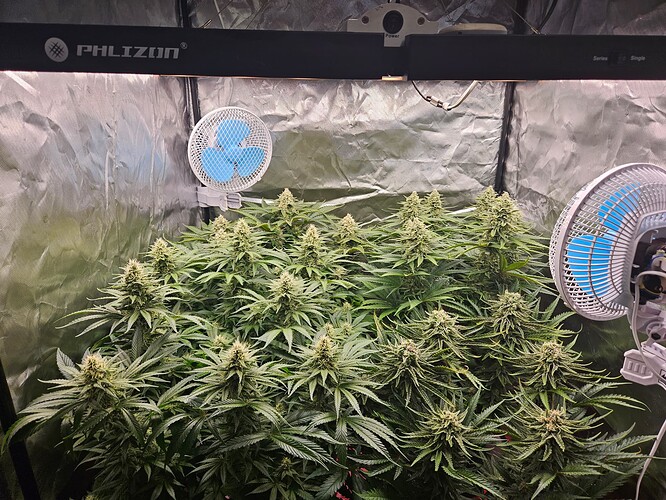 Growreport Bild 23
