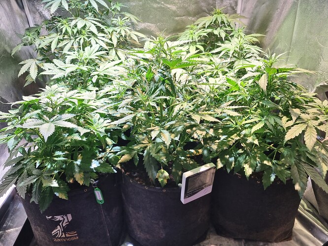 Growreport Bild 11
