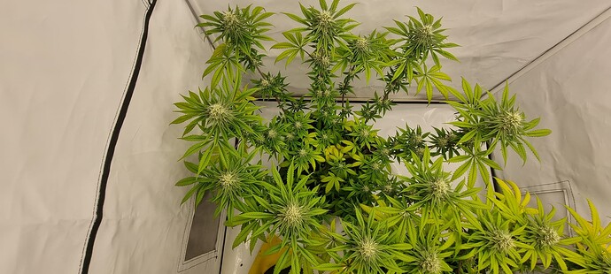 Growreport Bild 8
