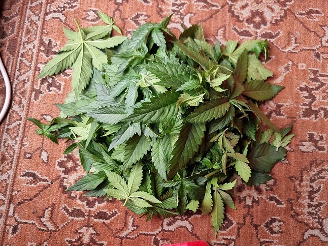 Growreport Bild 26