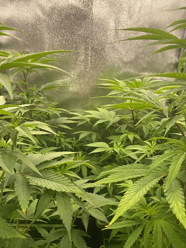 Growreport Bild 7