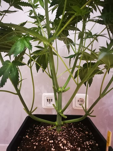 Growreport Bild 11