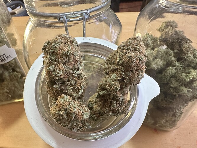 Growreport Bild 7