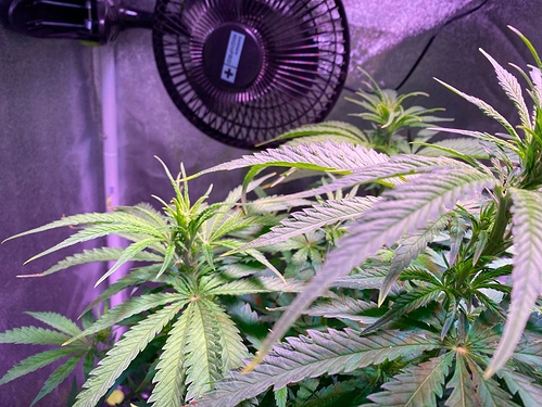 Growreport Bild 22