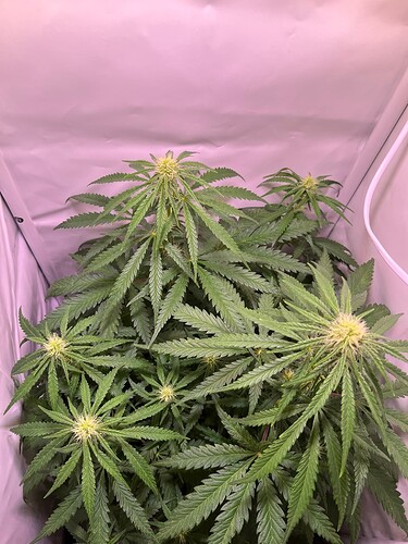 Growreport Bild 22