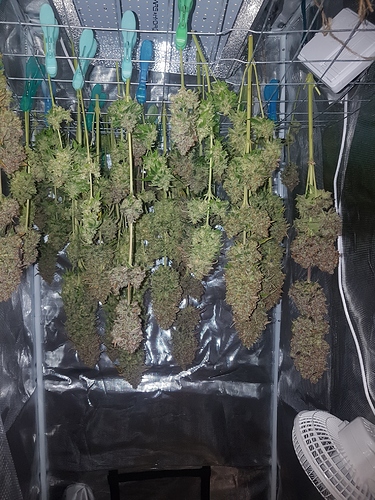 Growreport Bild 7