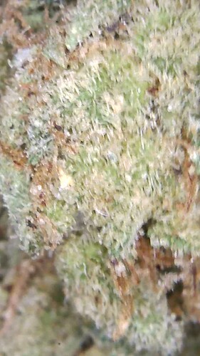 Growreport Bild 20